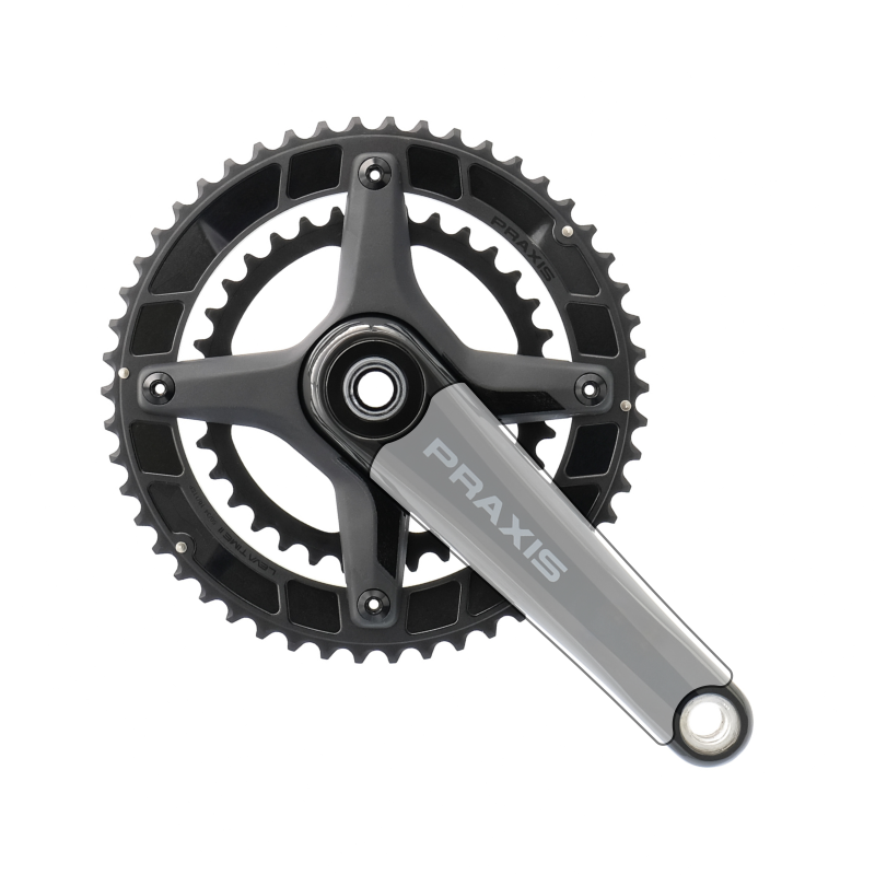 Praxis zayante crank protector