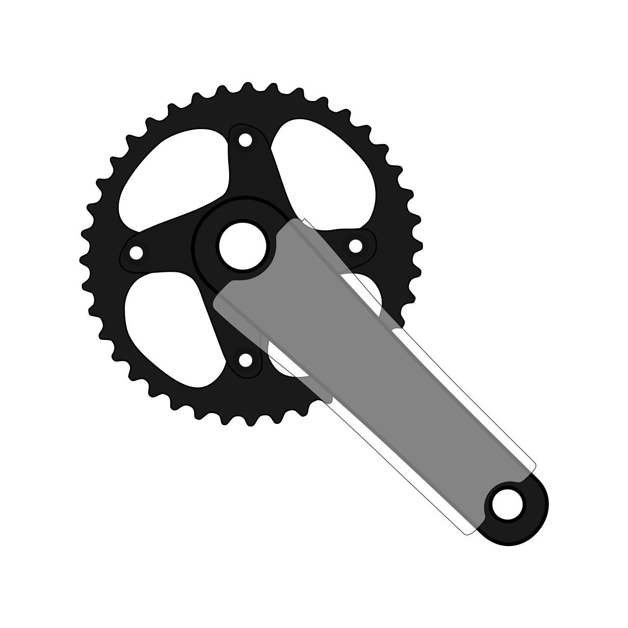 Crank Protection