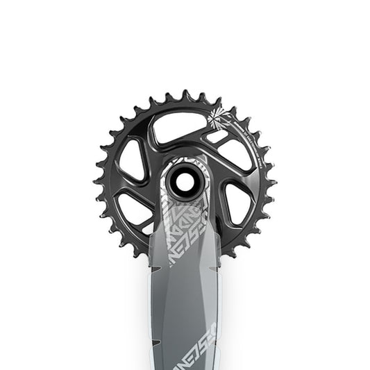 Truvativ Descendant and Stylo 6k Crank Protector by Cyclistick