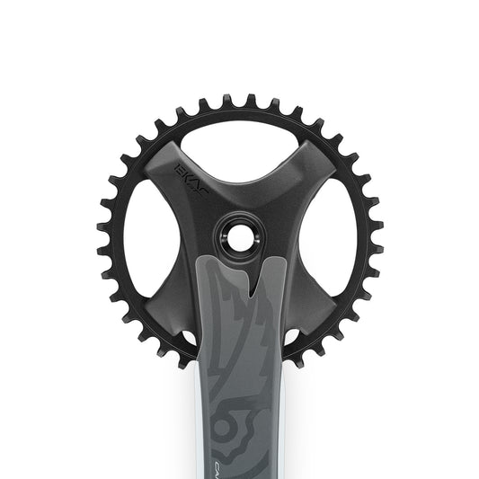 Campagnolo Ekar GT Crank Protector by Cyclistick