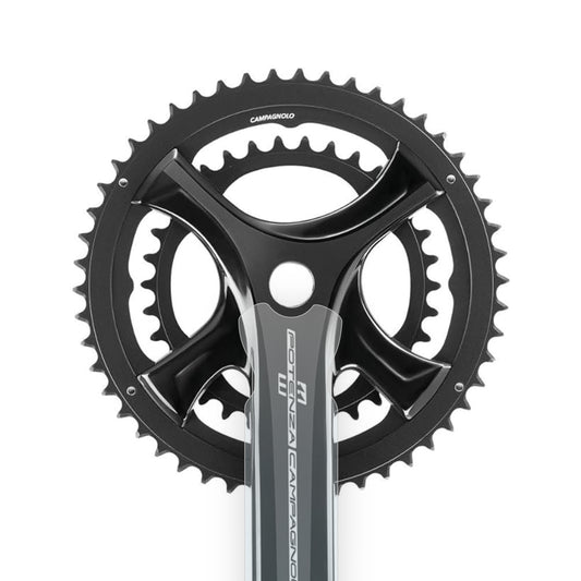 Campagnolo Potenza 11 Crank Protector by Cyclistick