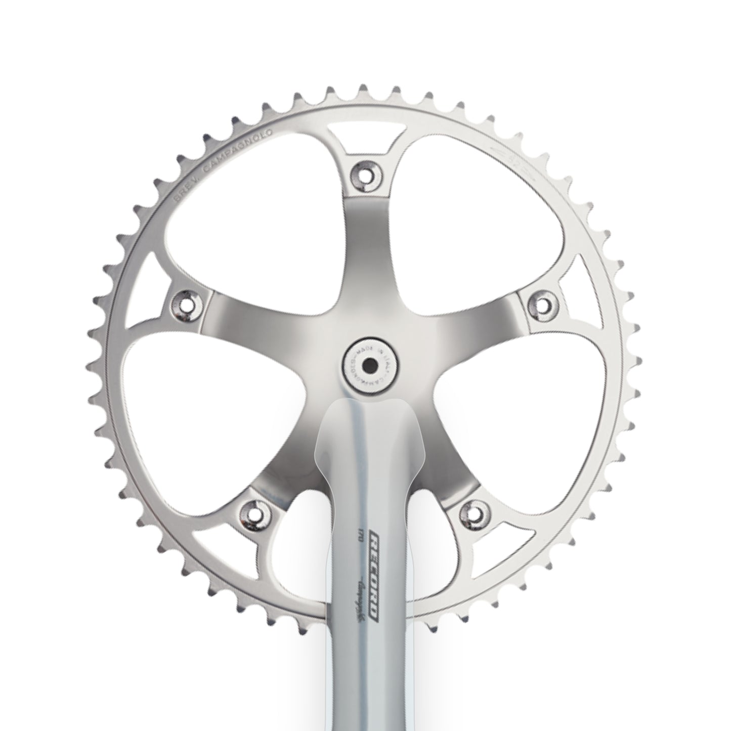 Campagnolo Record Pista Crank Protectors by Cyclistick