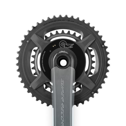 Campagnolo Super Record 13 Power Meter Crank Protector by Cyclistick
