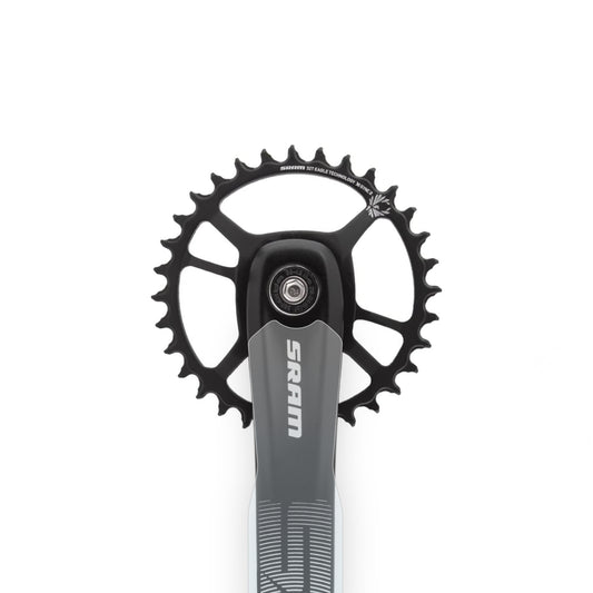SRAM SX Eagle Crank Protector by Cyclistick