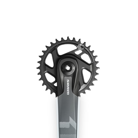 SRAM X1 1000 Eagle Crank Protector by Cyclistick